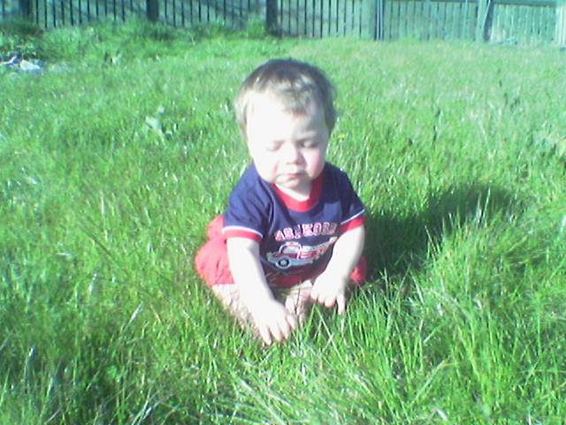 Harry