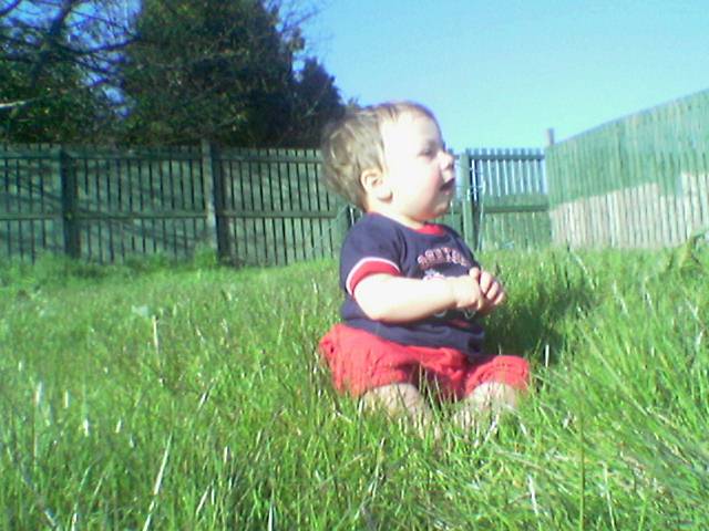 Harry